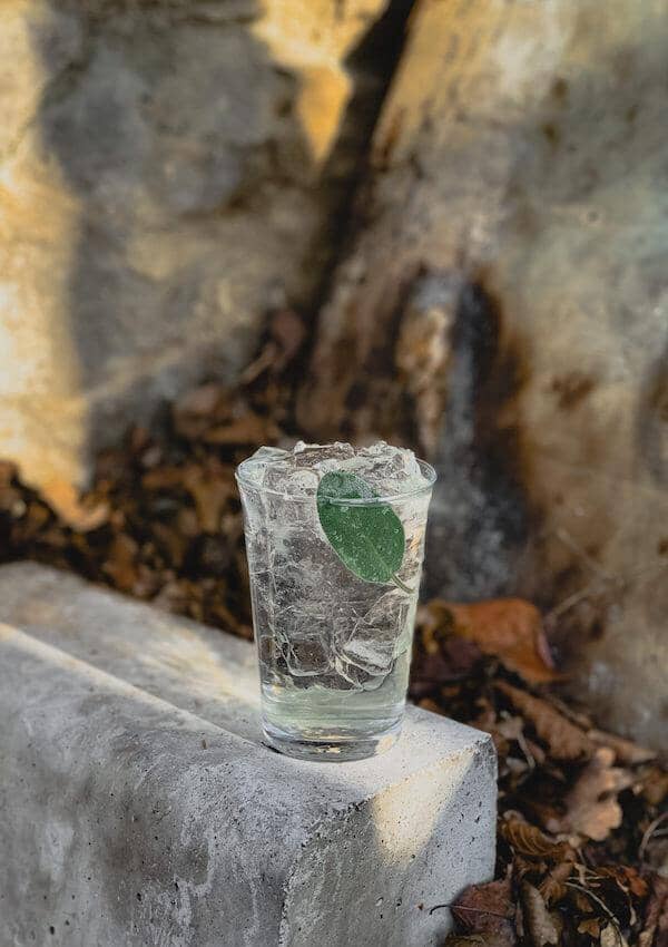 Gin_tonic